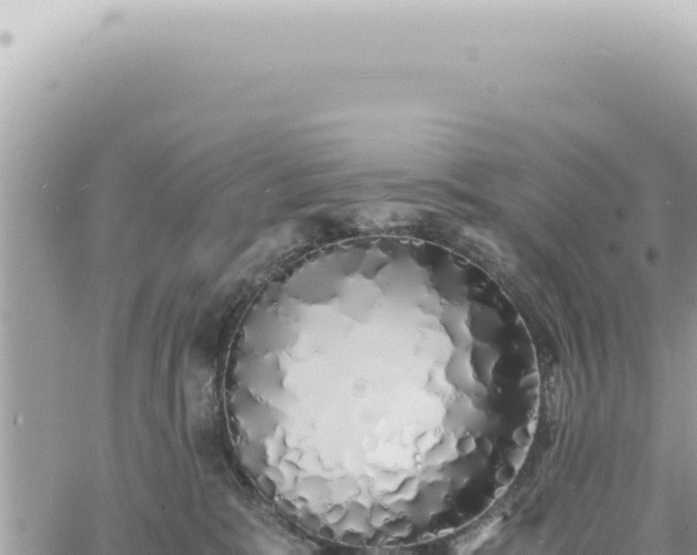 X0000060770327200511171220