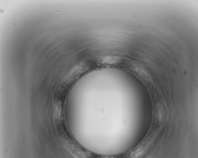 X0000060770328200511171220