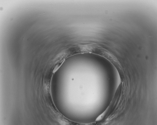 X0000060770329200511171220