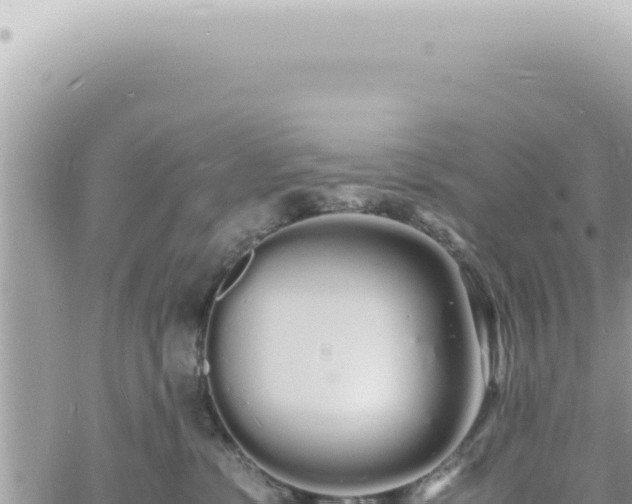 X0000060770331200511171220