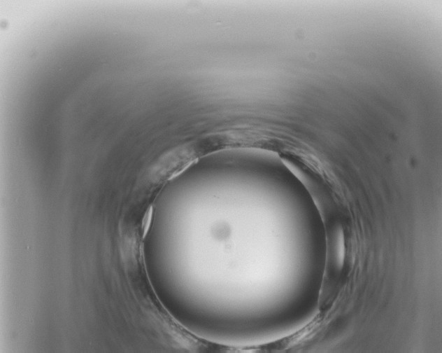 X0000060770333200511171220