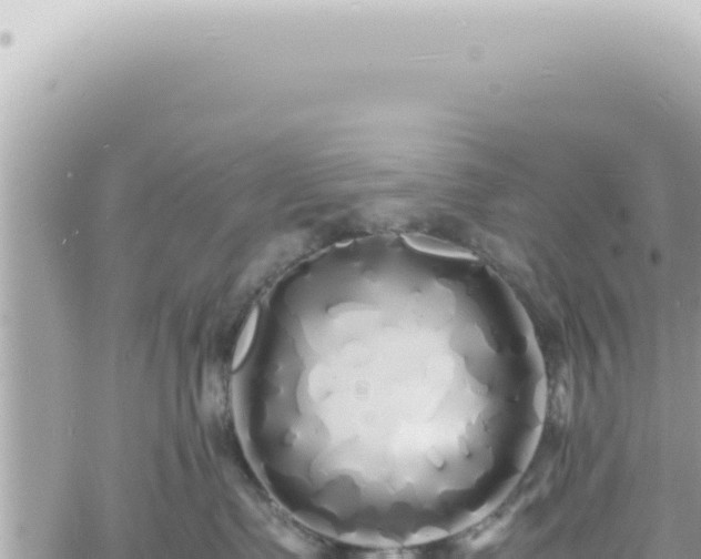 X0000060770335200511171219