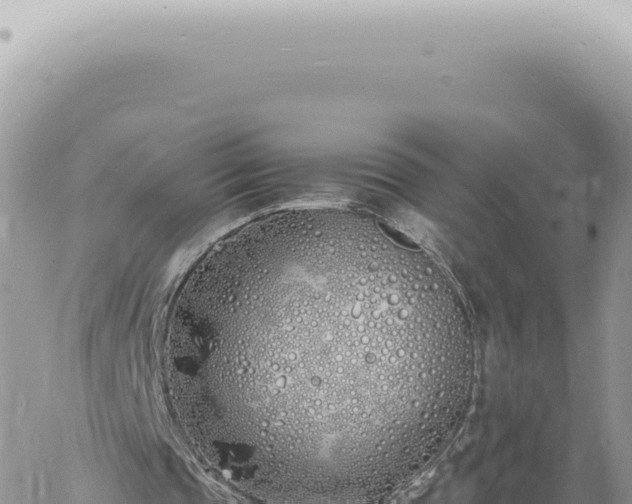 X0000060770337200511171219