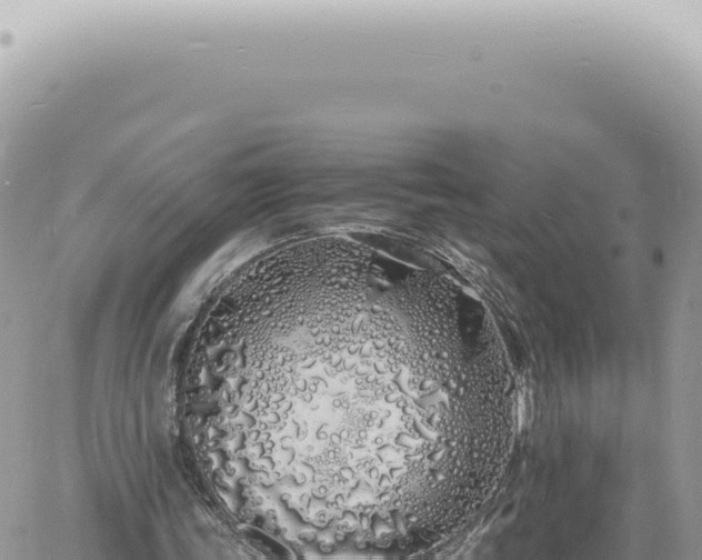 X0000060770339200511171219