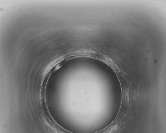 X0000060770340200511171219