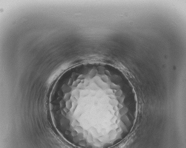 X0000060770341200511171219