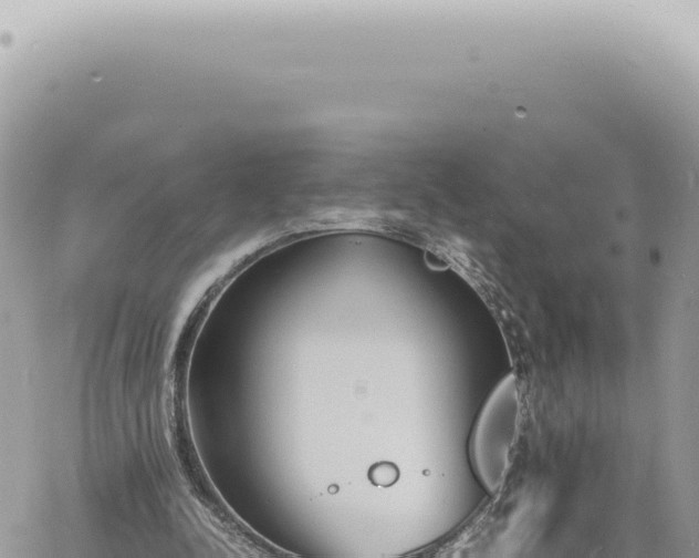 X0000060770342200511171219