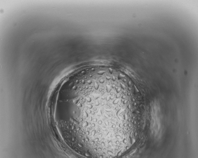 X0000060770343200511171219