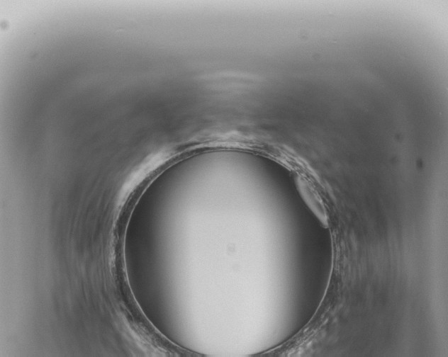 X0000060770344200511171219