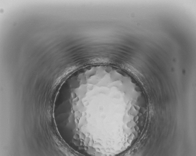 X0000060770345200511171219