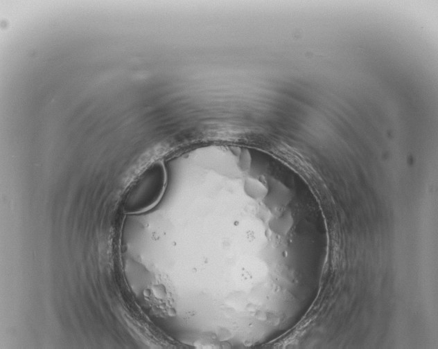 X0000060770346200511171219