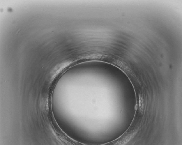 X0000060770348200511171219