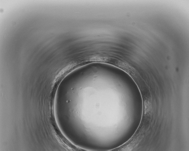 X0000060770349200511171219