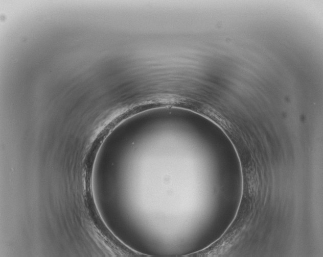 X0000060770350200511171219