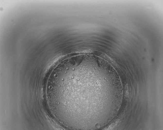 X0000060770351200511171219