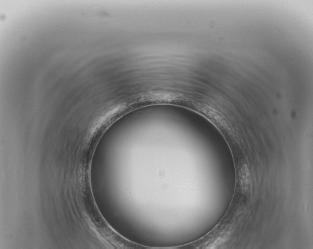 X0000060770352200511171219