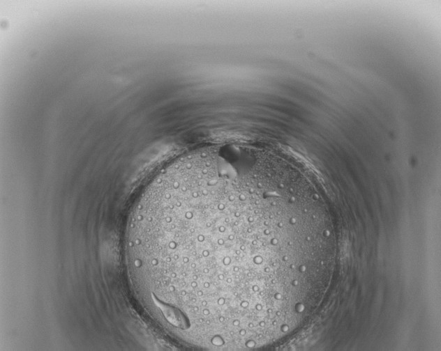 X0000060770353200511171219