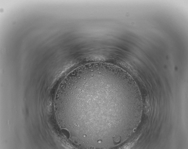 X0000060770355200511171219