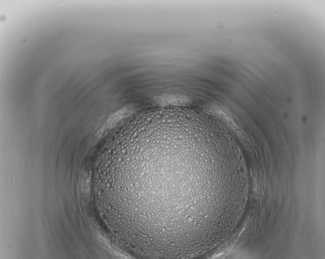 X0000060770357200511171219