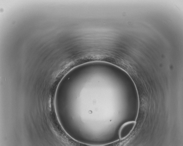 X0000060770358200511171219