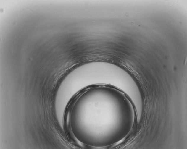 X0000060770359200511171219