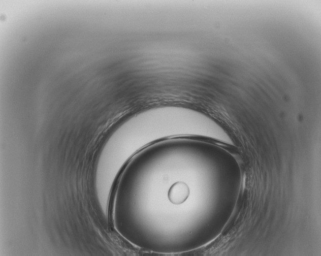 X0000060770360200511171219