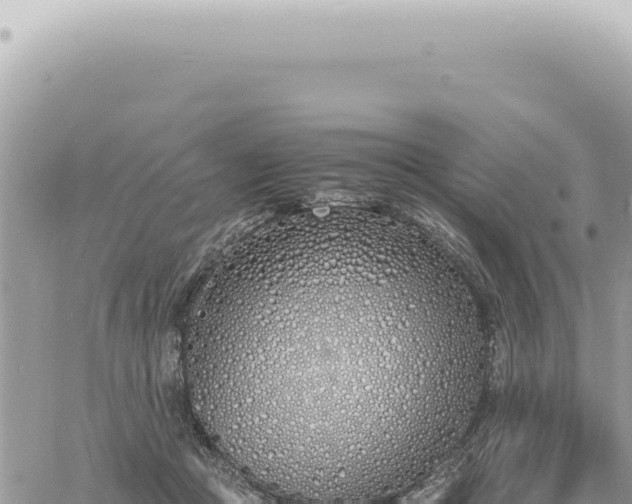 X0000060770361200511171219