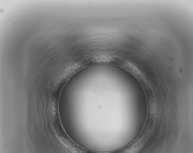 X0000060770362200511171219