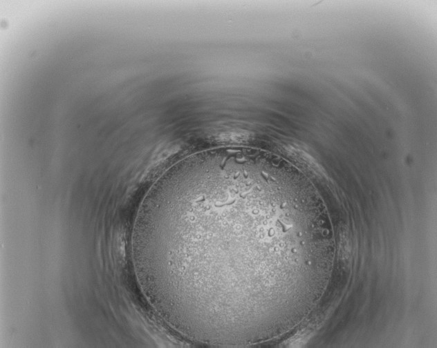 X0000060770363200511171219