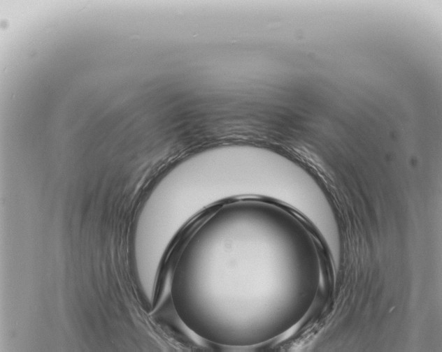 X0000060770365200511171219