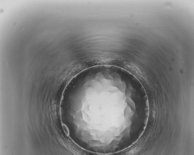 X0000060770366200511171219