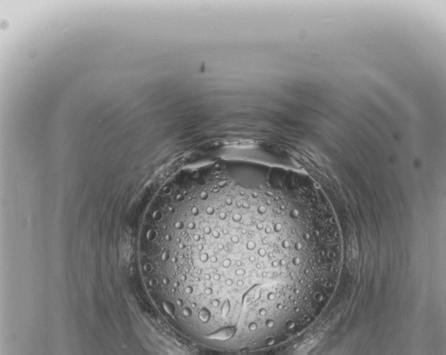 X0000060770367200511171219