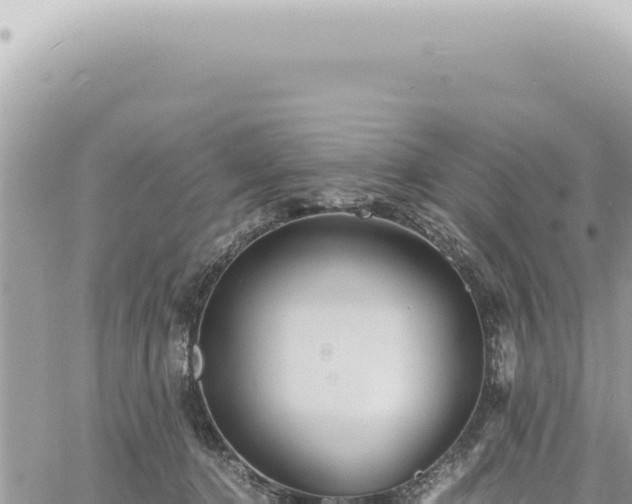 X0000060770368200511171219