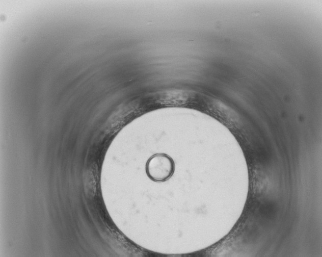 X0000060770370200511171219