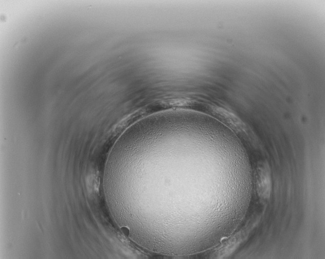 X0000060770374200511171219