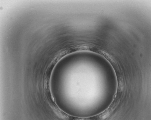 X0000060770379200511171219