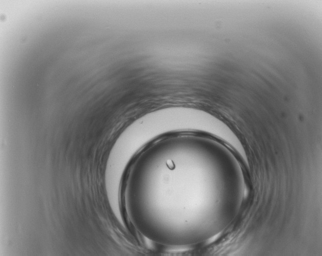 X0000060770380200511171219