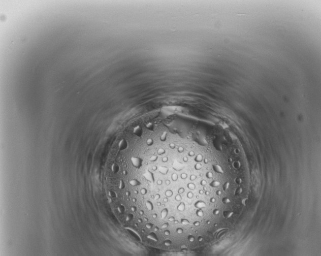 X0000060770381200511171219