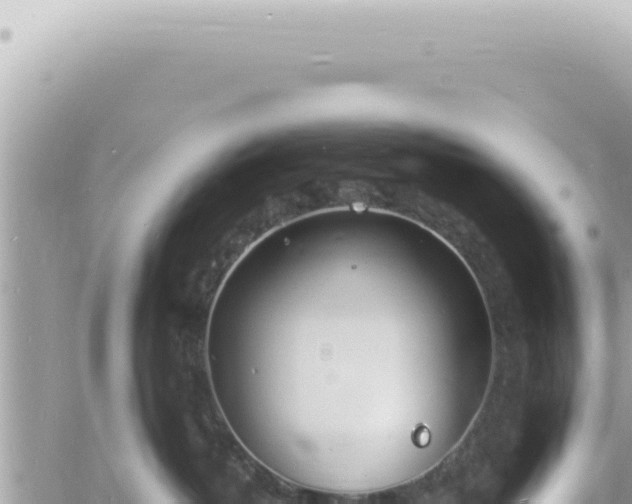 X0000060770382200511171219