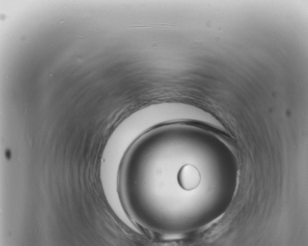 X0000060770384200511171219