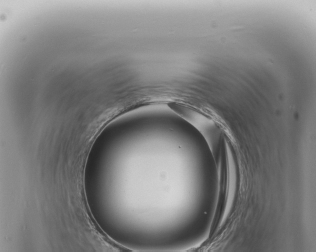 X0000060770385200511171219