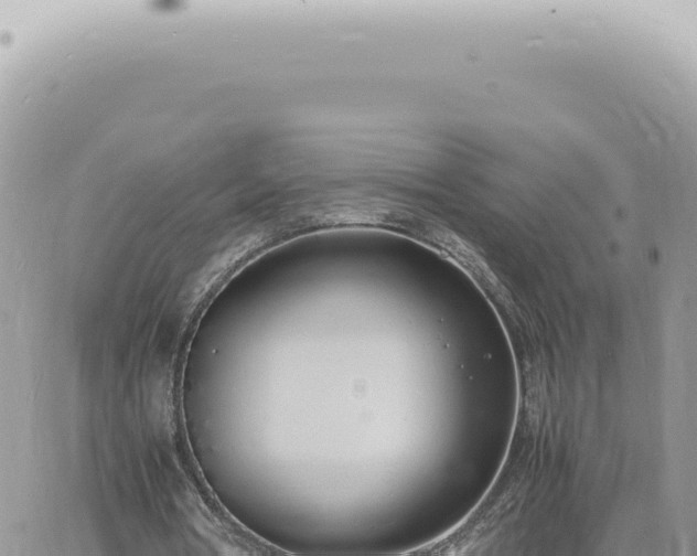 X0000060770386200511171219