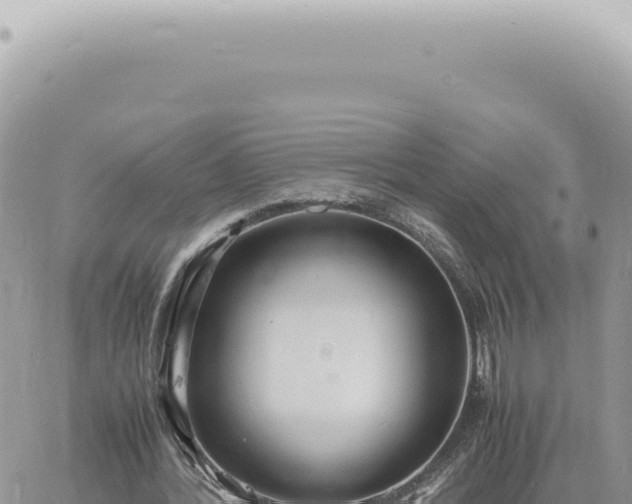 X0000060770388200511171219