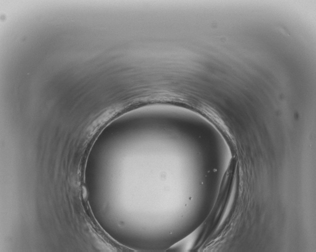 X0000060770389200511171219