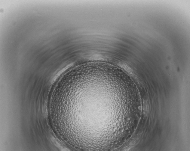 X0000060770390200511171219