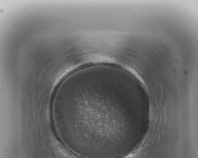 X0000060770391200511171219