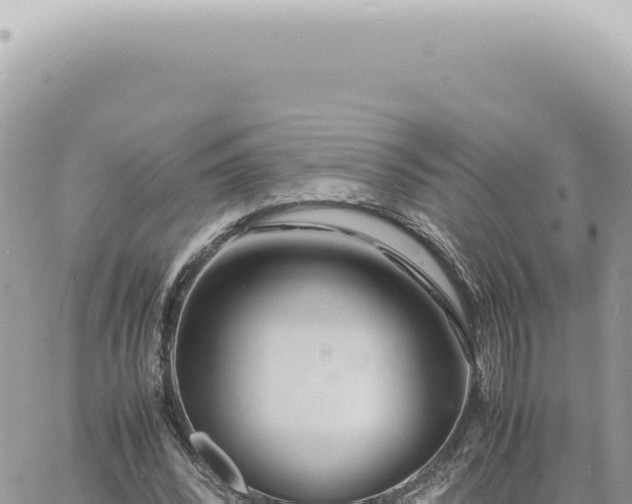 X0000060770392200511171219