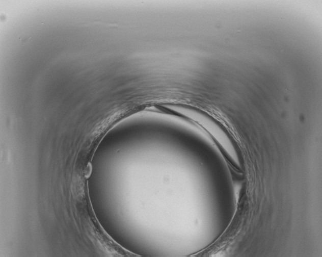 X0000060770393200511171219