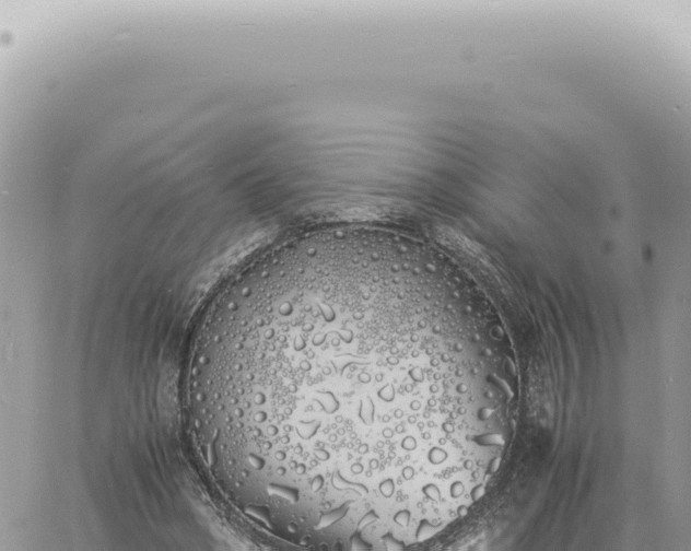 X0000060770394200511171218