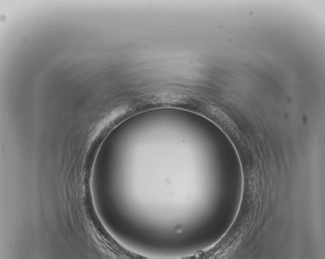 X0000060770395200511171218